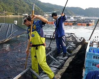 赤坂水産