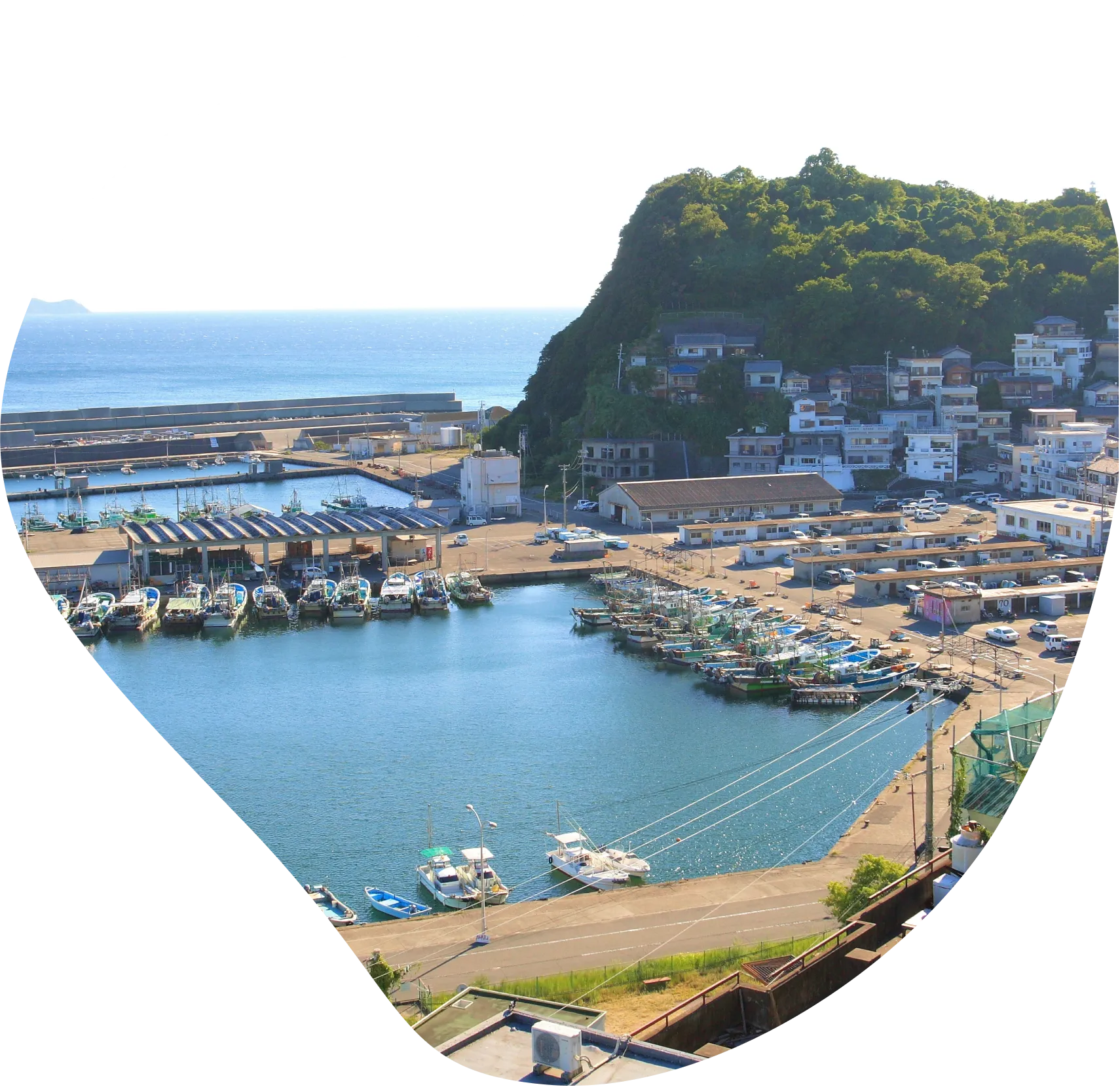 わかやま潮騒サミット